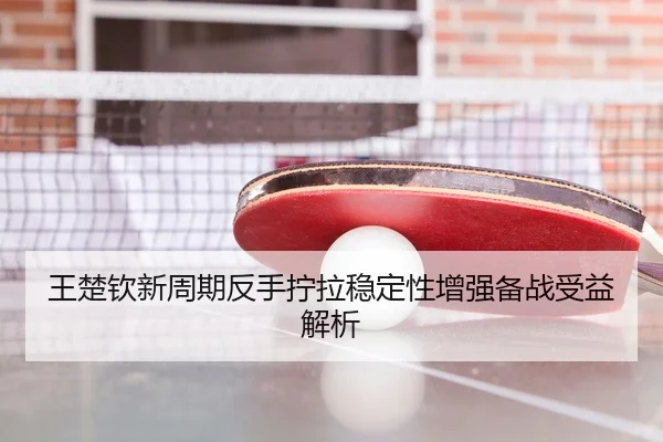 王楚钦新周期反手拧拉稳定性增强备战受益解析