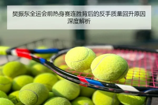 樊振东全运会前热身赛连胜背后的反手质量回升原因深度解析